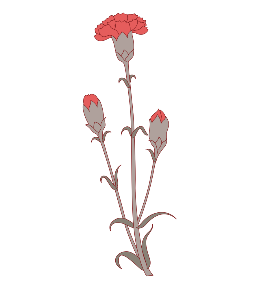 anjer bloem vector