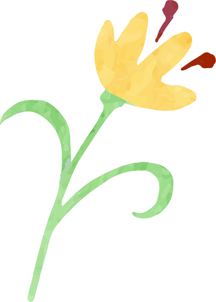 bloem aquarel vector