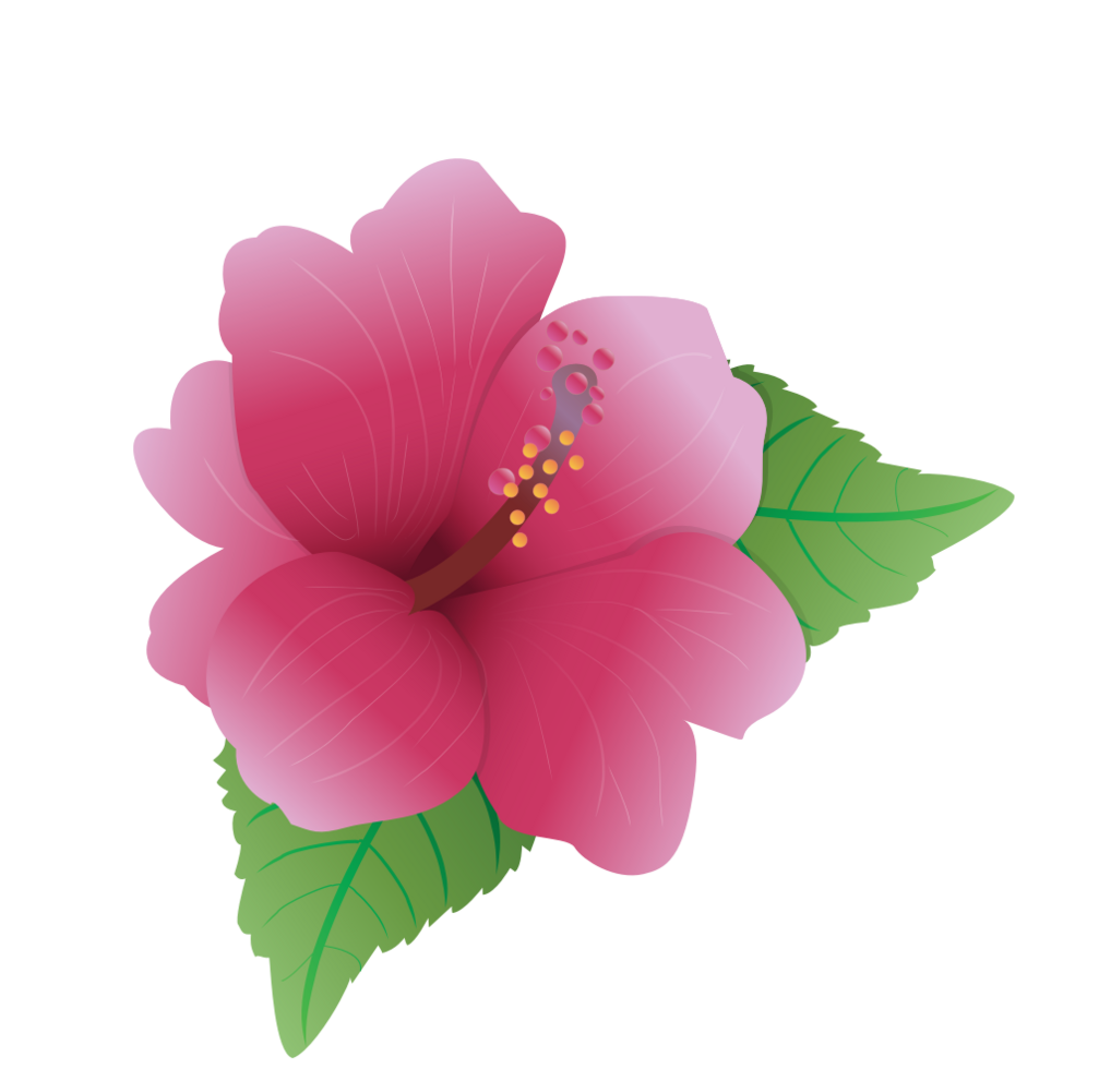 Polynesische bloem vector