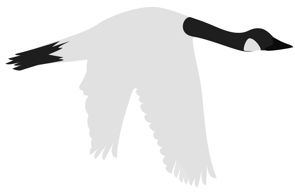 gans vector