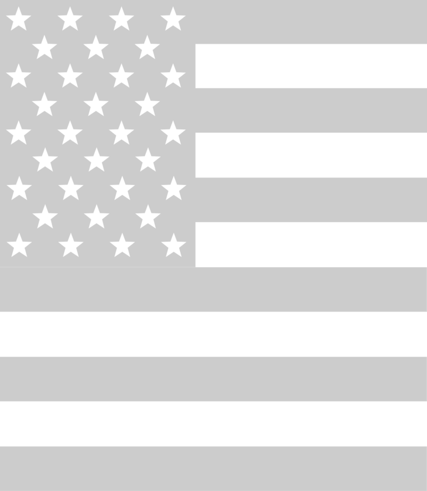 Amerikaanse vlag vector