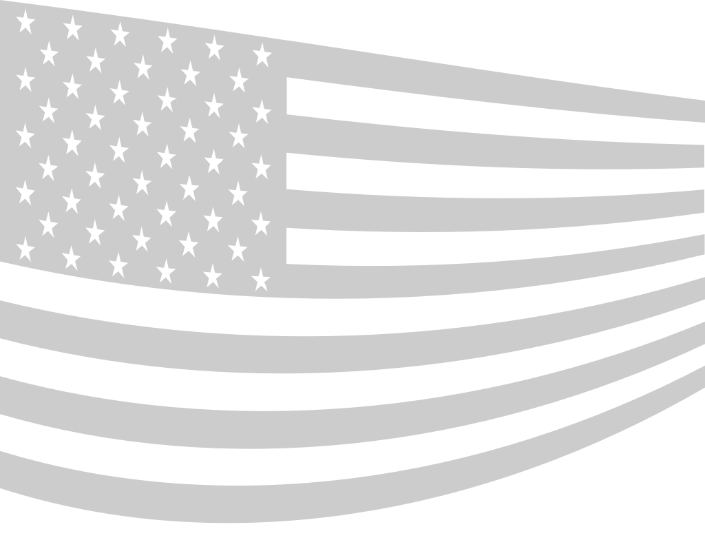 Amerikaanse vlag vector