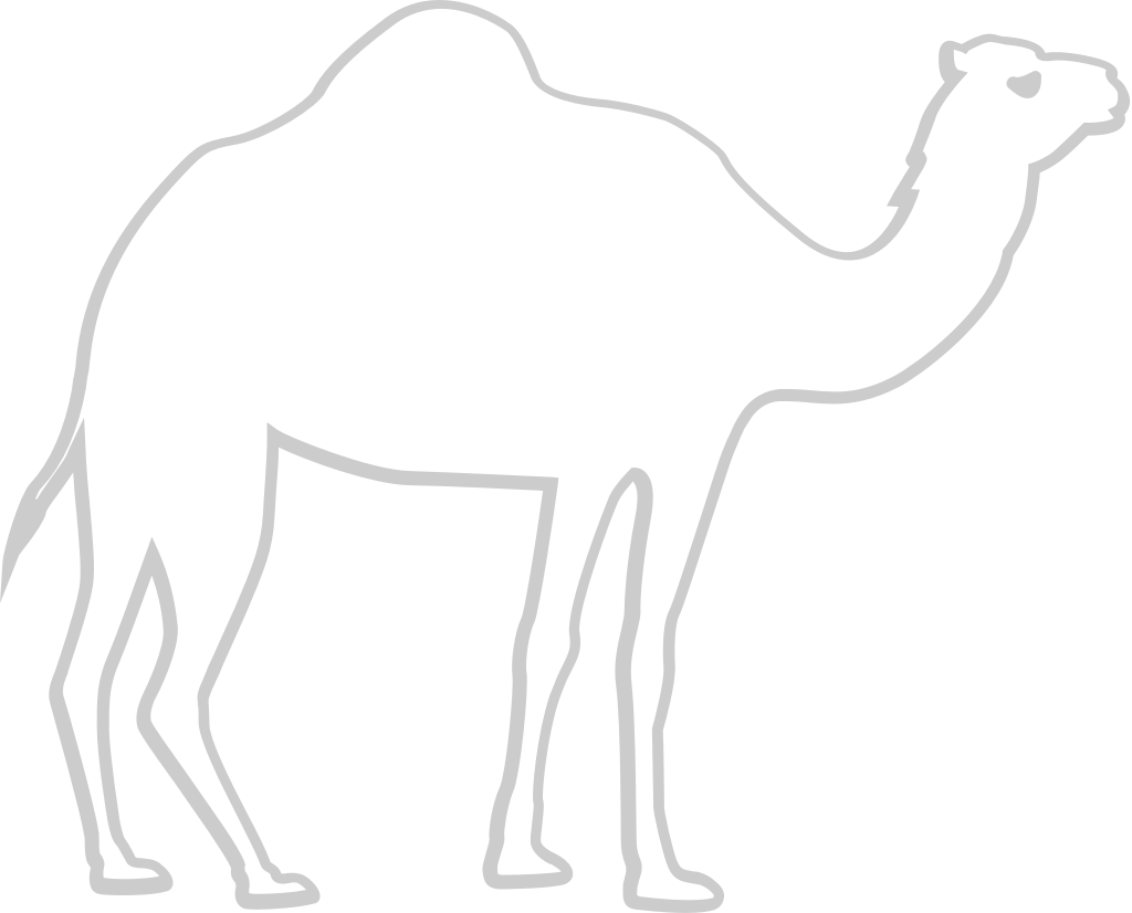 Egyptische kameel vector