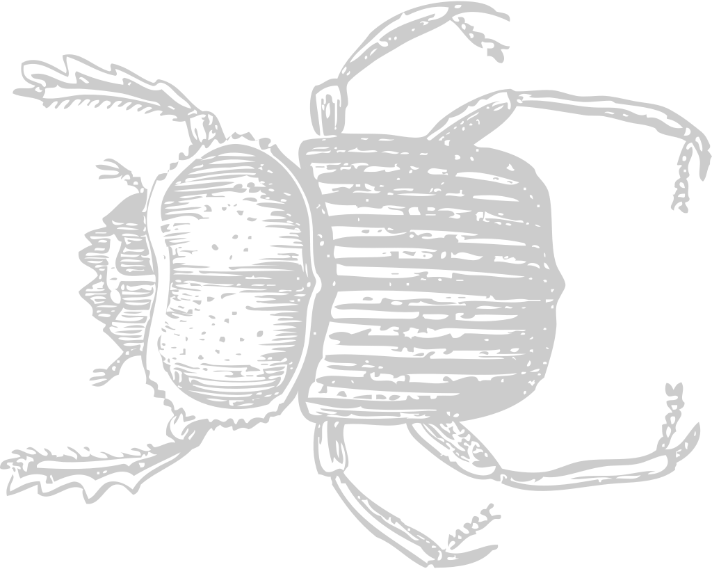 Egypte symbool schetsen scarabee vector
