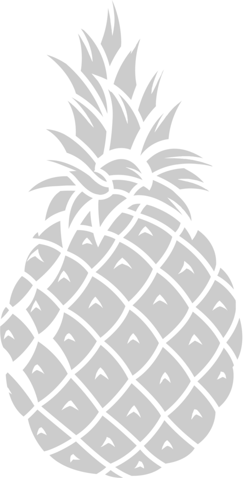 ananas vector