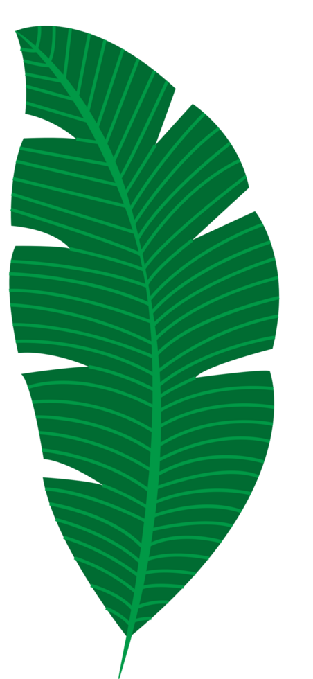 palm vector