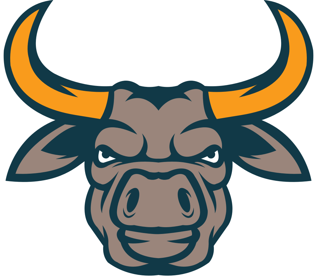 stier vector