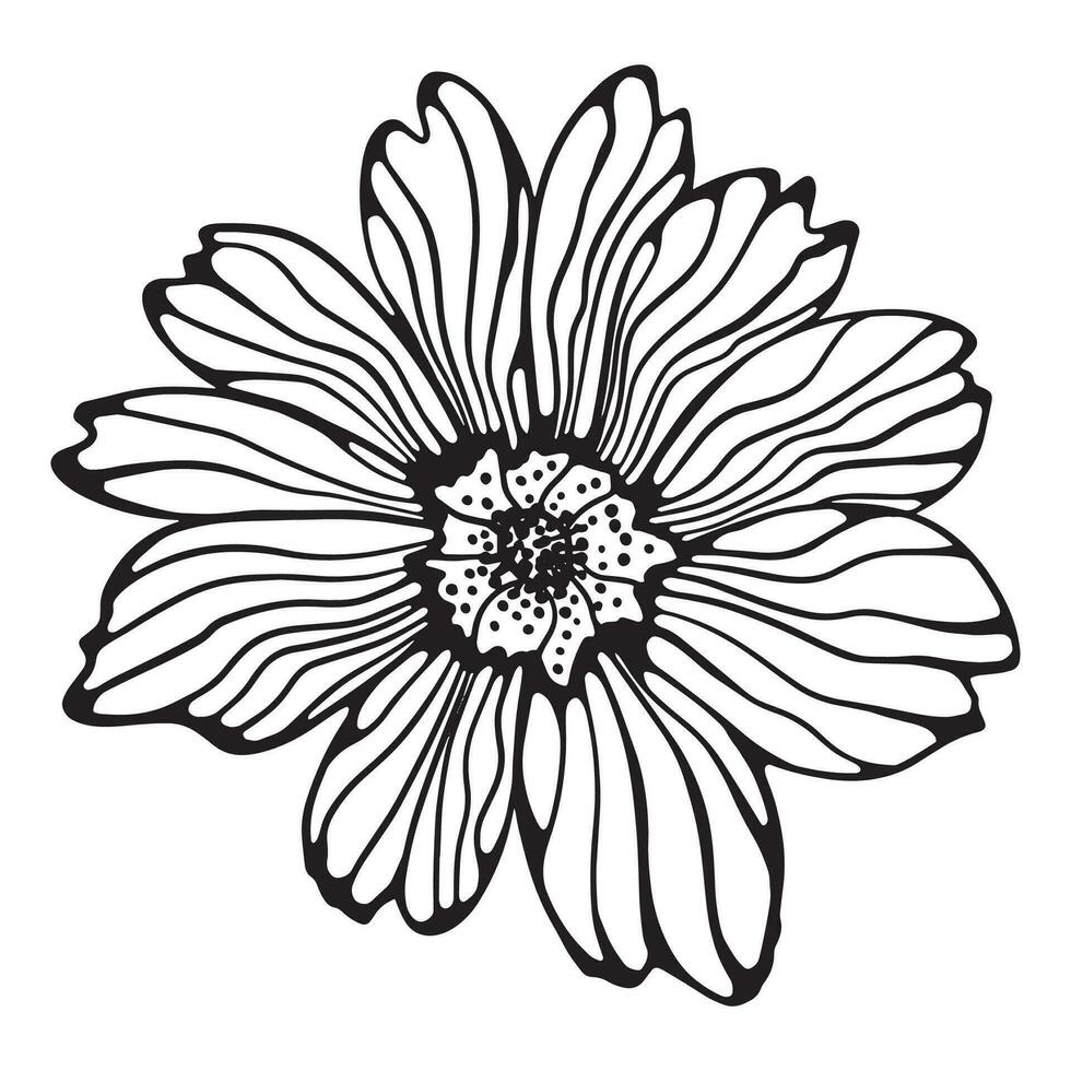 een hand getekend vector voorjaar bloem. bloemen voor ontwerp.