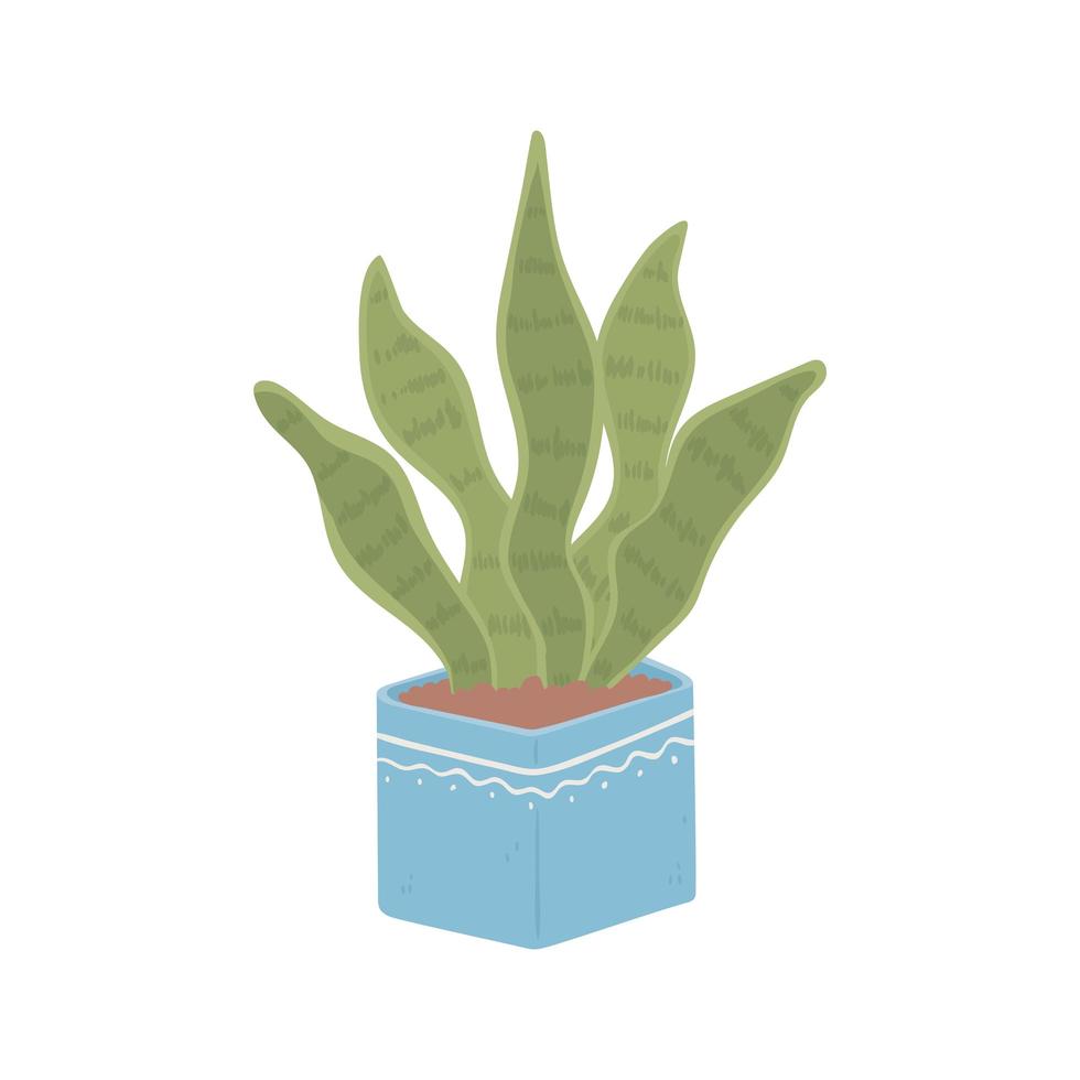 plant in pot vector