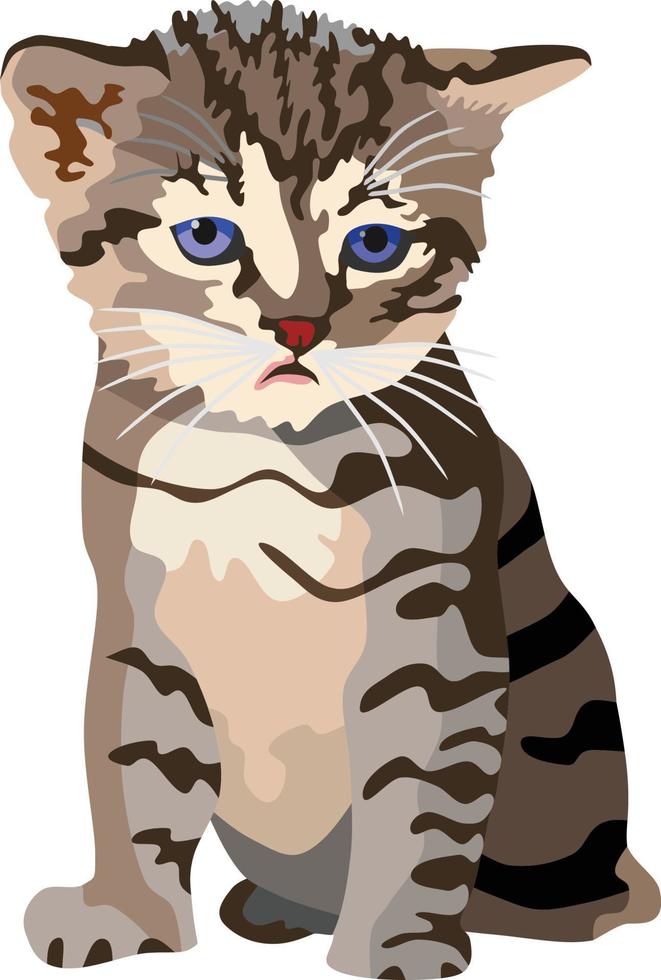 kitty zoogdier dierlijke vector