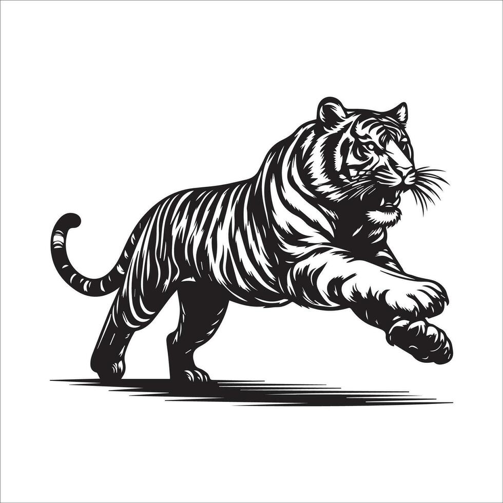 vector beeld van een tijger Aan een wit achtergrond in de stijl van gravure