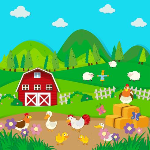 Kippen en eenden op de boerderij vector