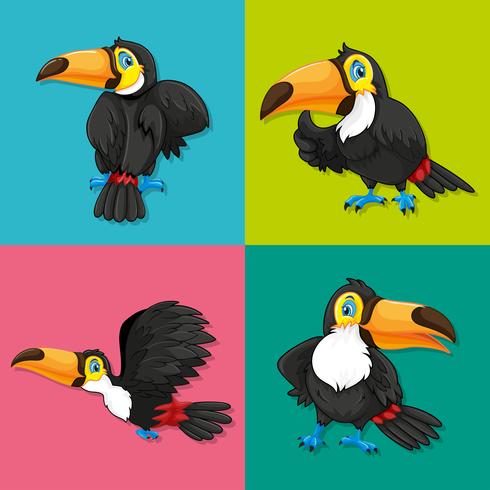 Toucan in vier frames vector