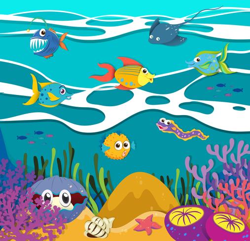 Vissen en zeedieren onderwater vector