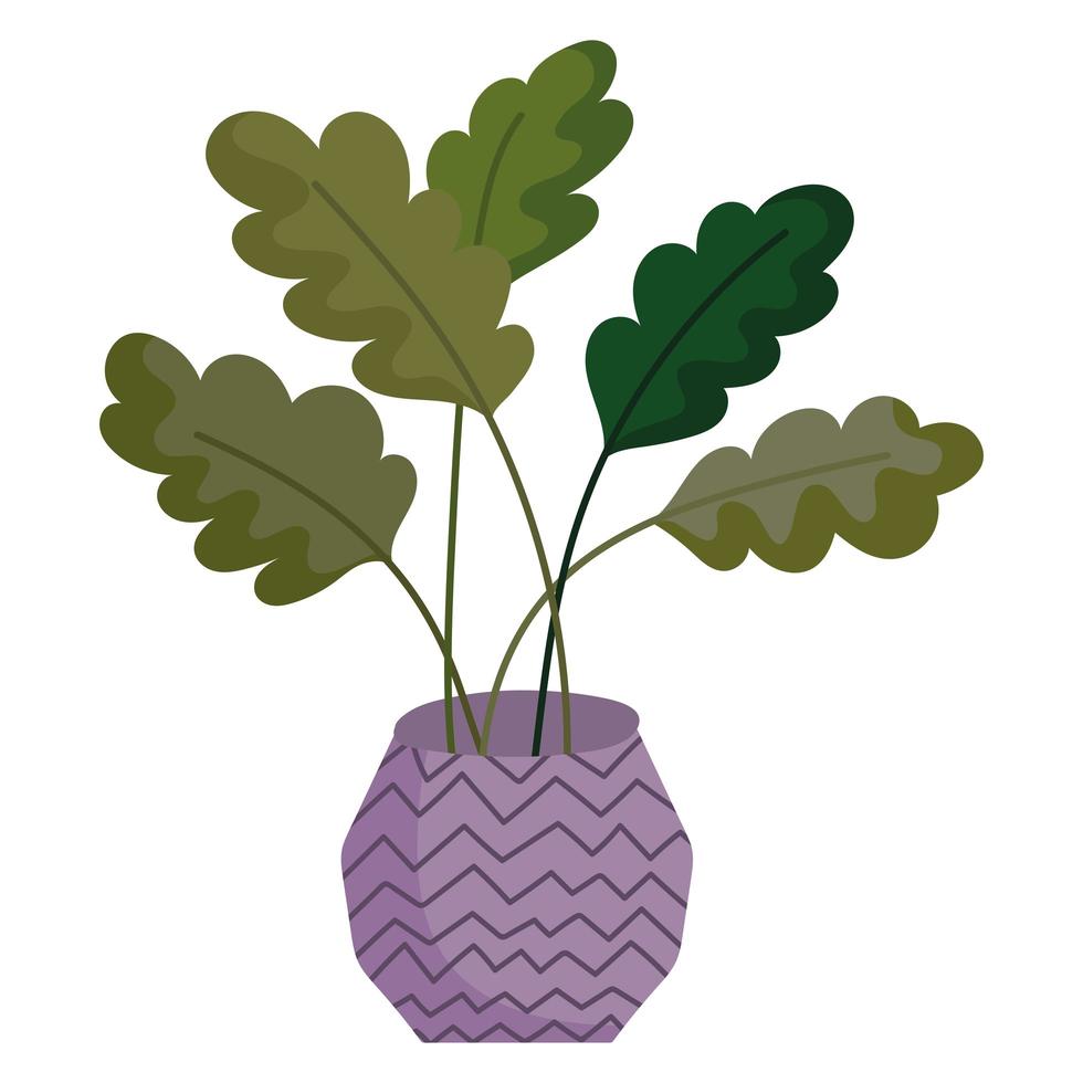 potplant in pot vector