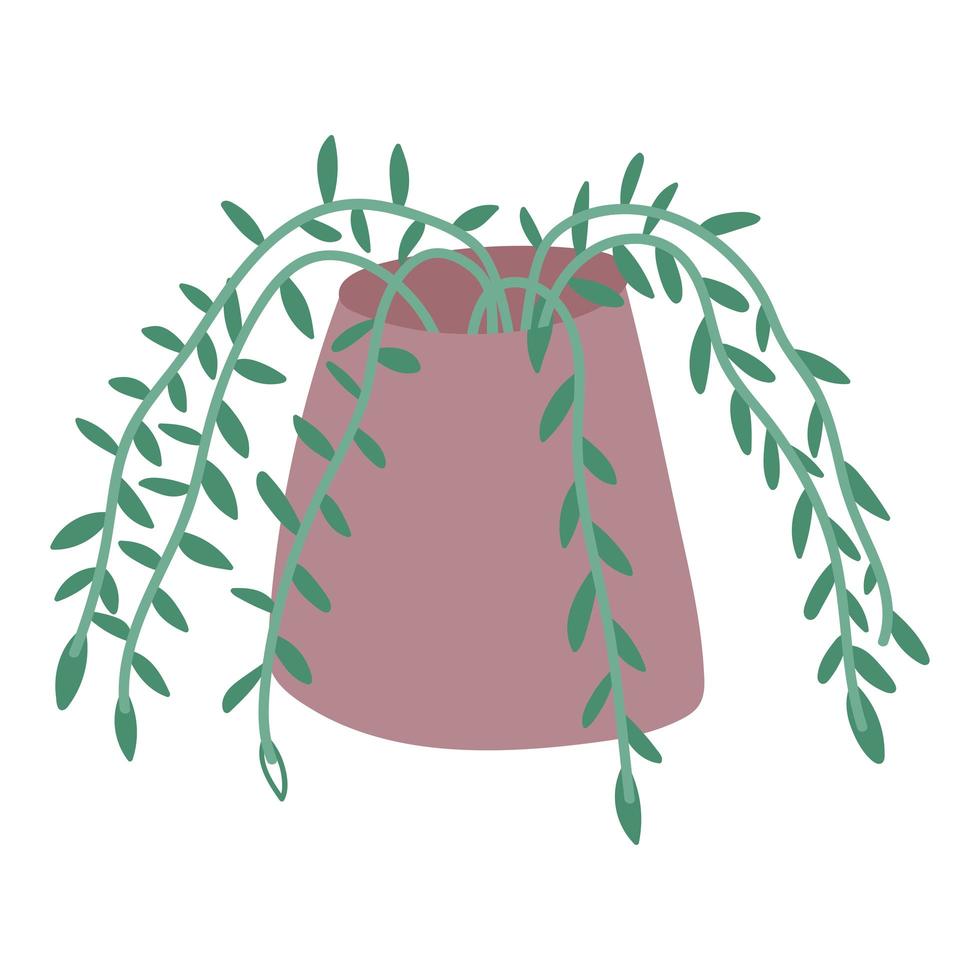 decoratieve planten thuis vector