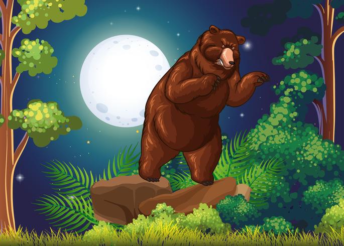 Wilde beer in de jungle &#39;s nachts vector