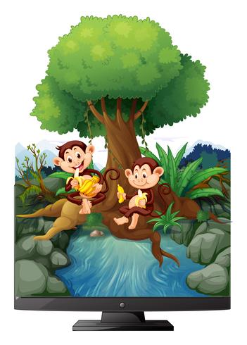 Twee apen die banaan eten bij de rivier vector