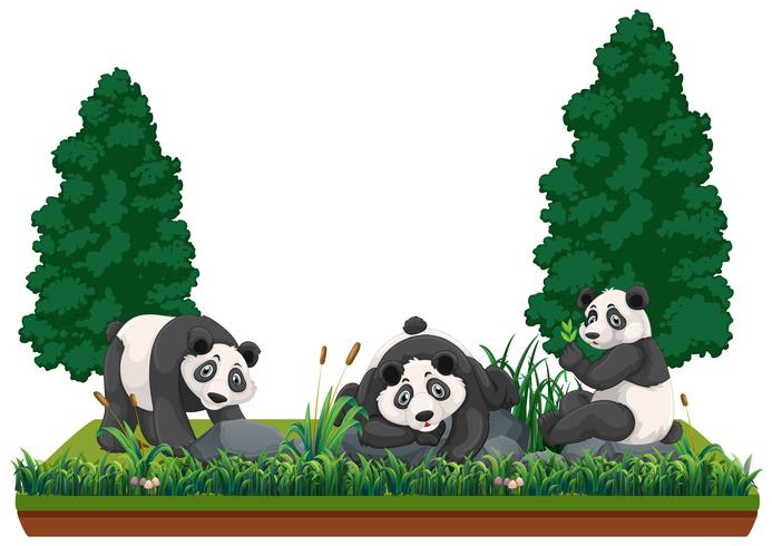 Panda in natuurlandschap vector