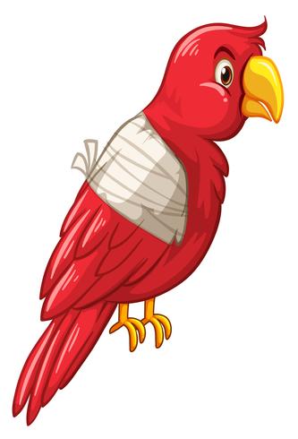 Papegaaivogel is gewond vector