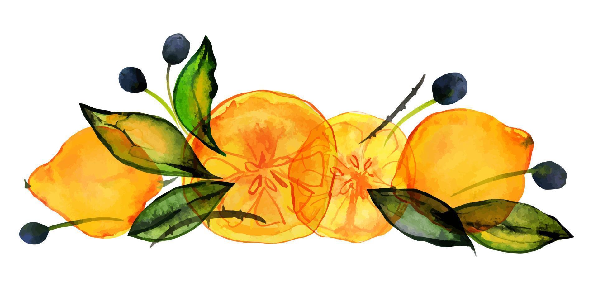 citrus en olijf fruit tuin. citroenen en olijven boeket met getraceerde aquarel. schattig decor voor huis- en cafétextiel, voor verpakkingsdecor en menu vector