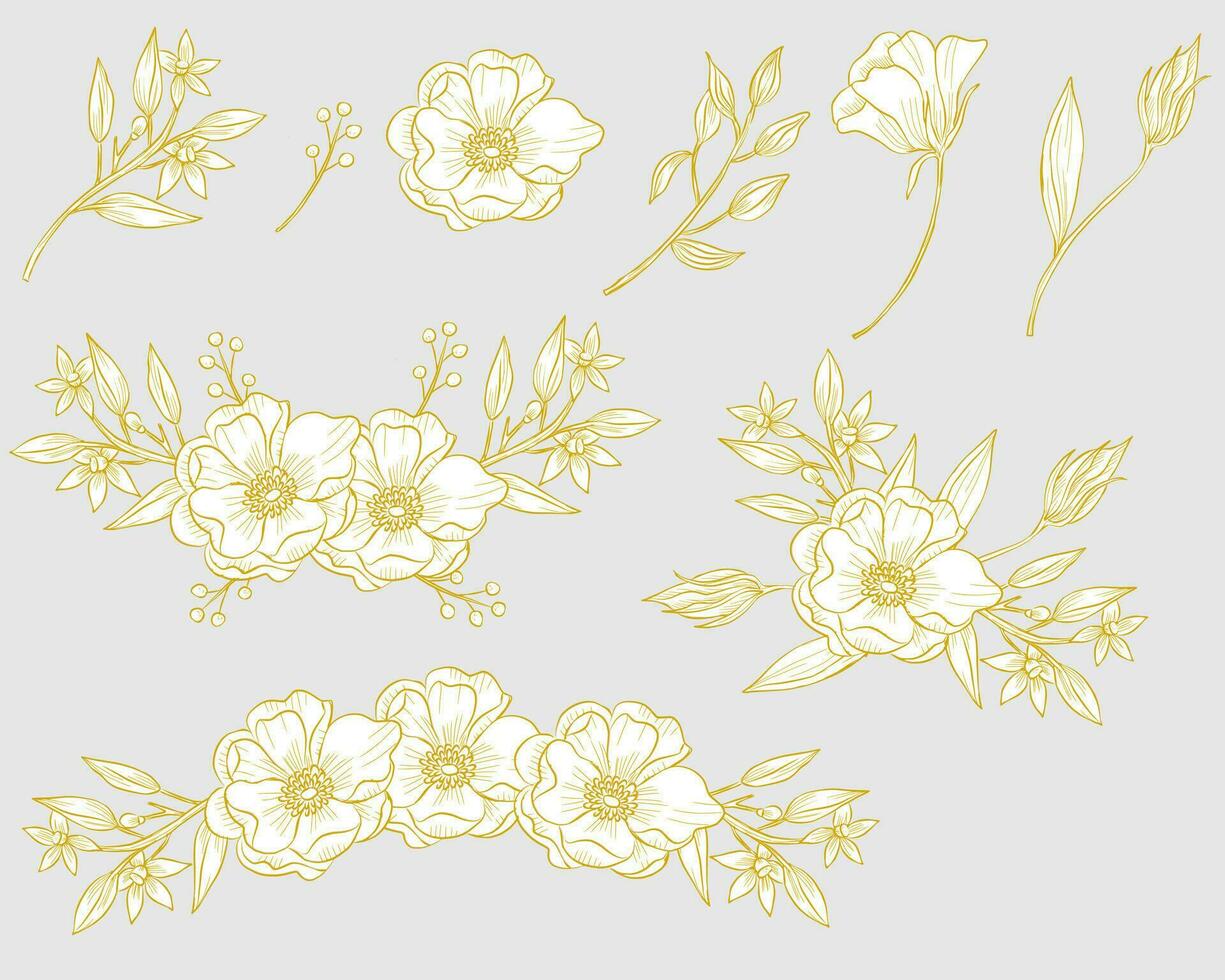 hand- getrokken anemoon en jasmijn bloem vector