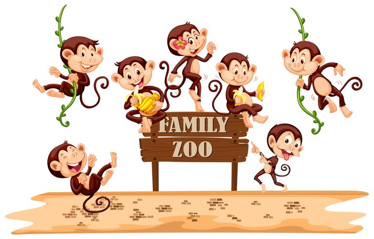 Veel apen op dierentuin ondertekenen vector