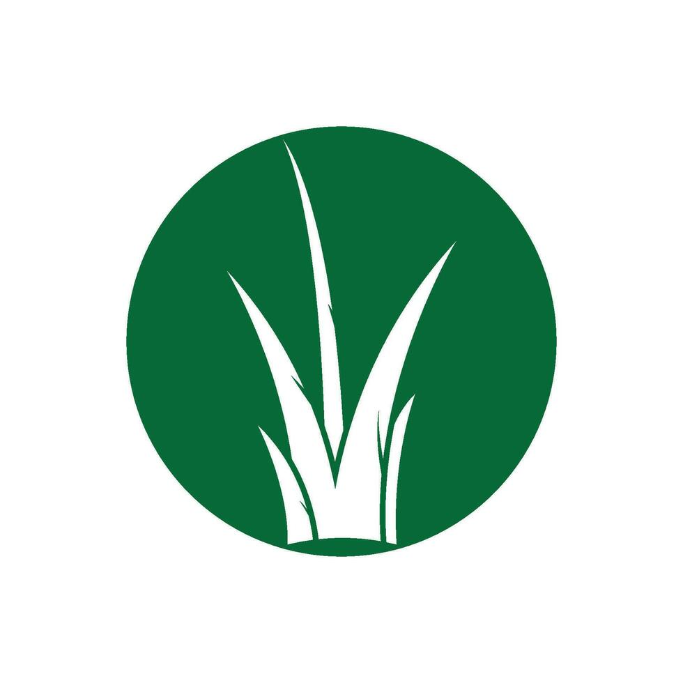 gras logo vector sjabloon