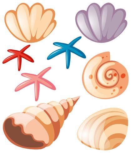 Ocean set met schelpen en zeesterren vector