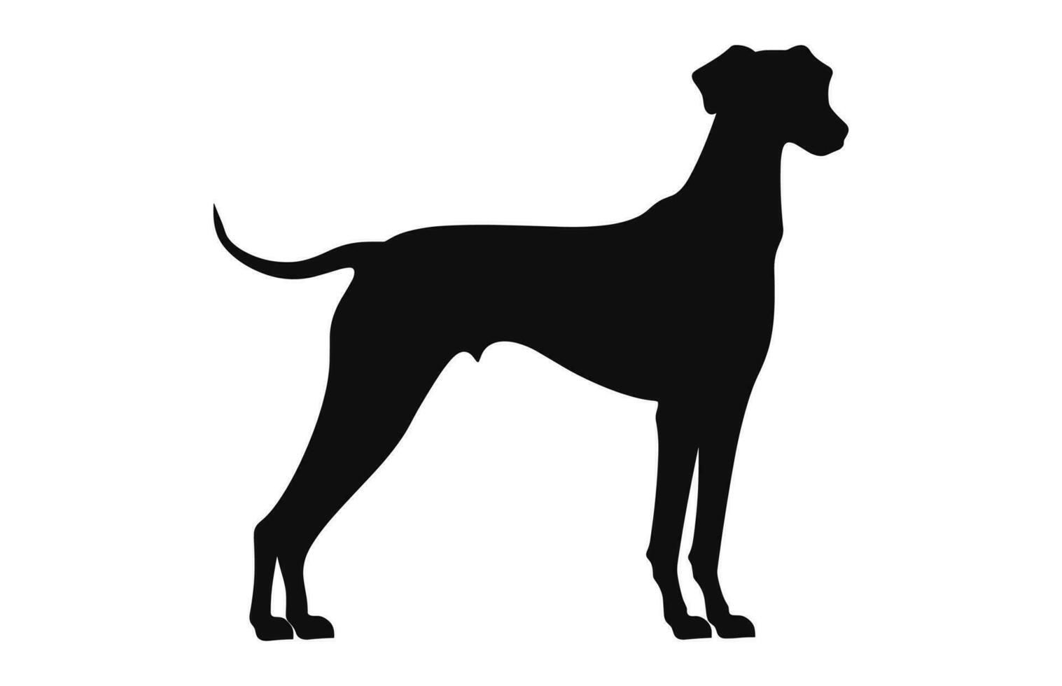 windhond hond vector zwart silhouet vrij