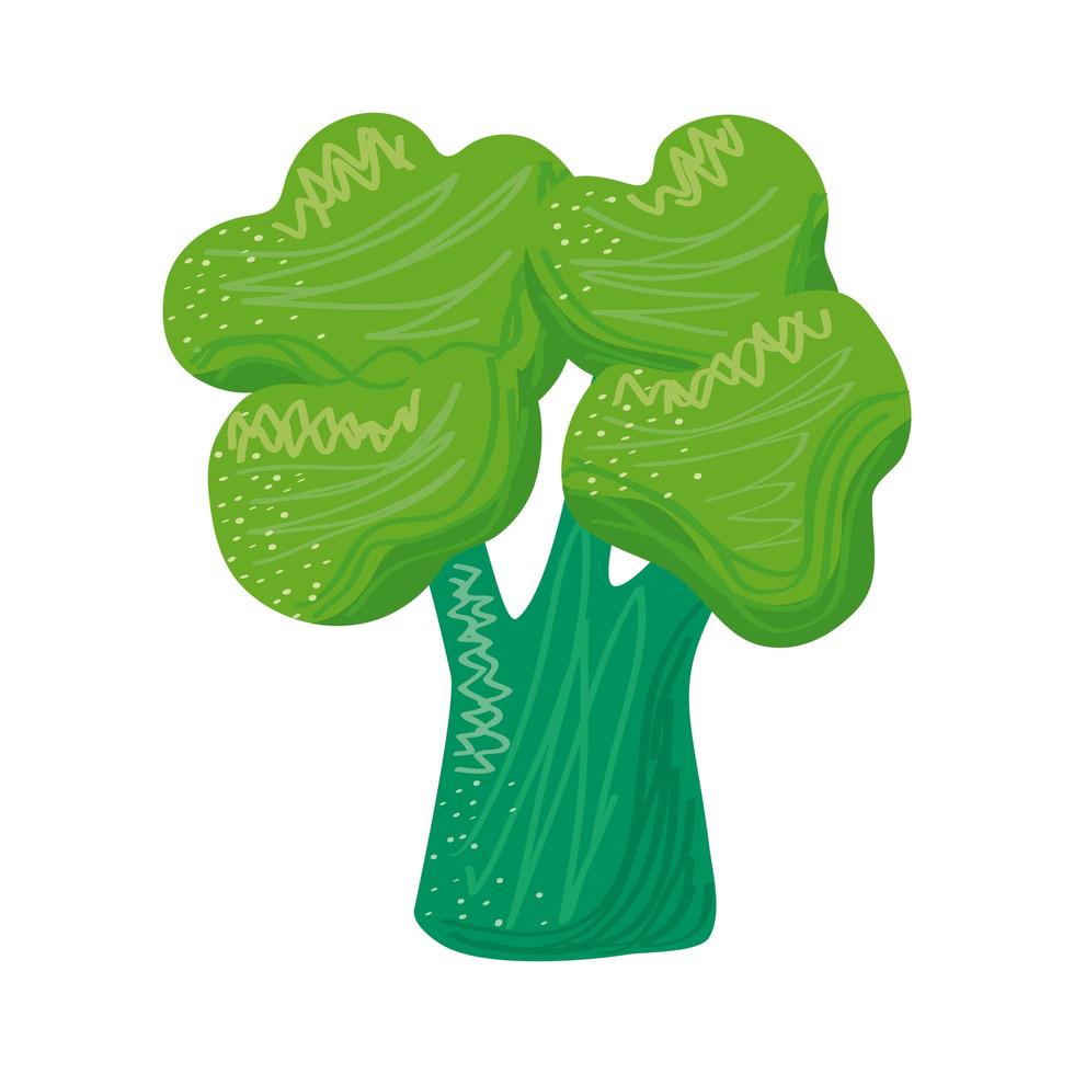 broccoli groenten gezond voedsel icoon vector