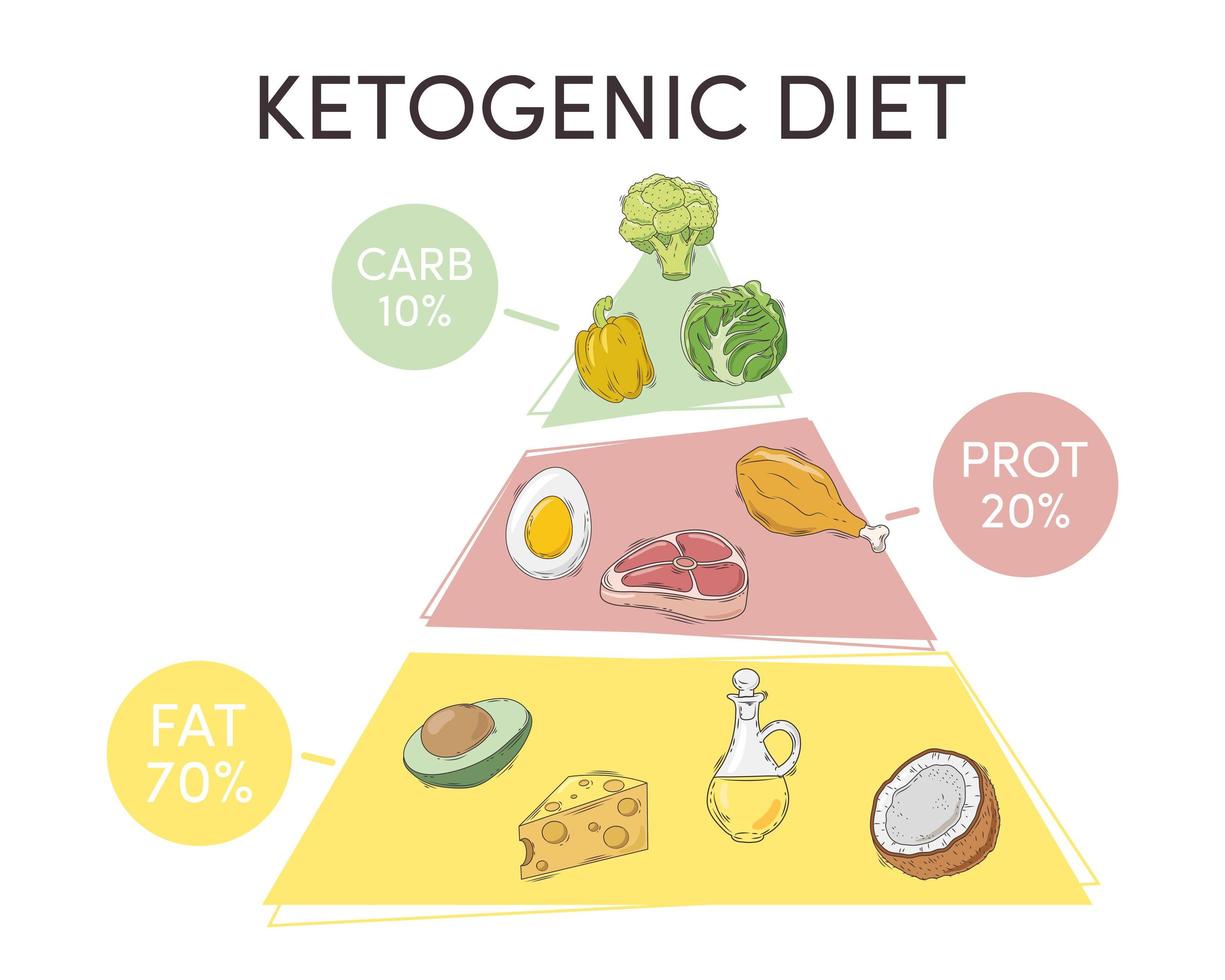 ketogene dieetpiramide vector