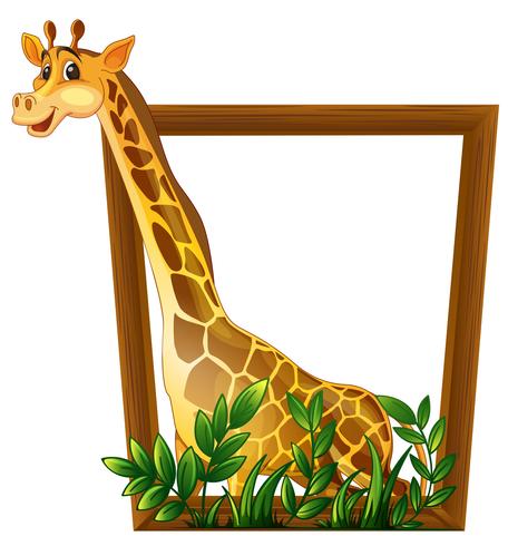 giraffe vector