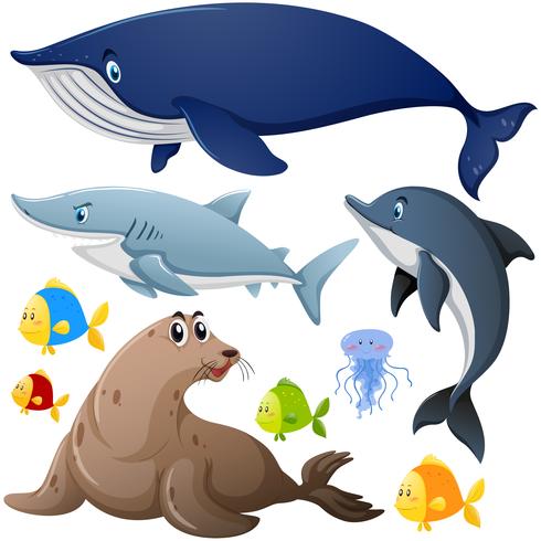 Verschillende soorten zeedieren vector