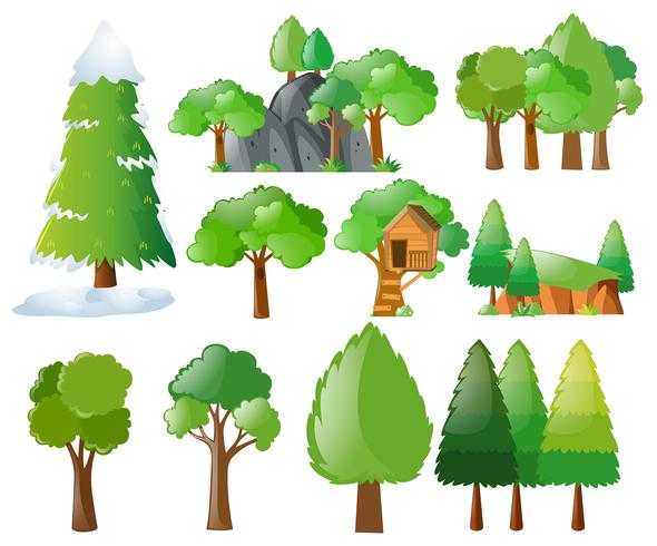 Verschillende soorten bomen vector