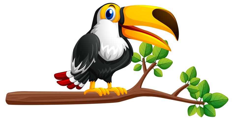 Toucan-vogel op de tak vector