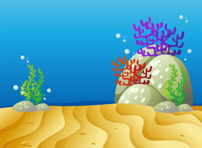 Onderwaterscène met zand en koraalrif vector