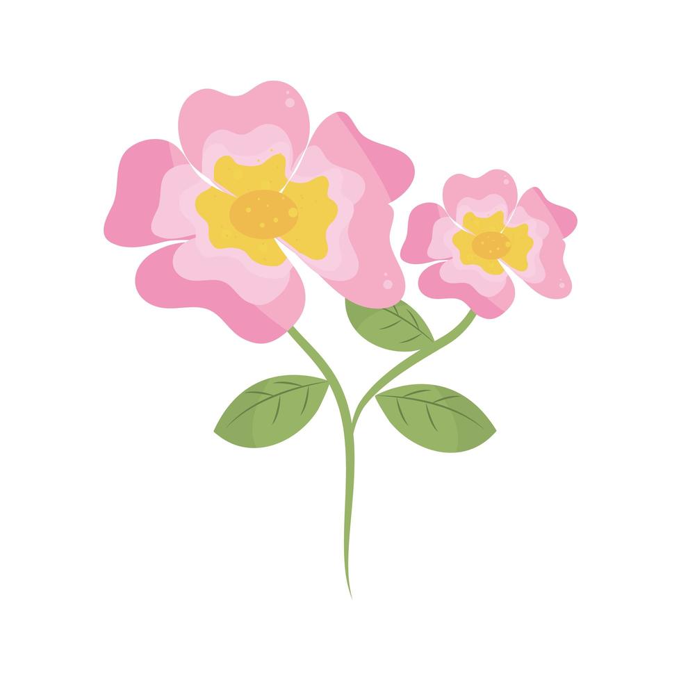 roze bloemen plant vector