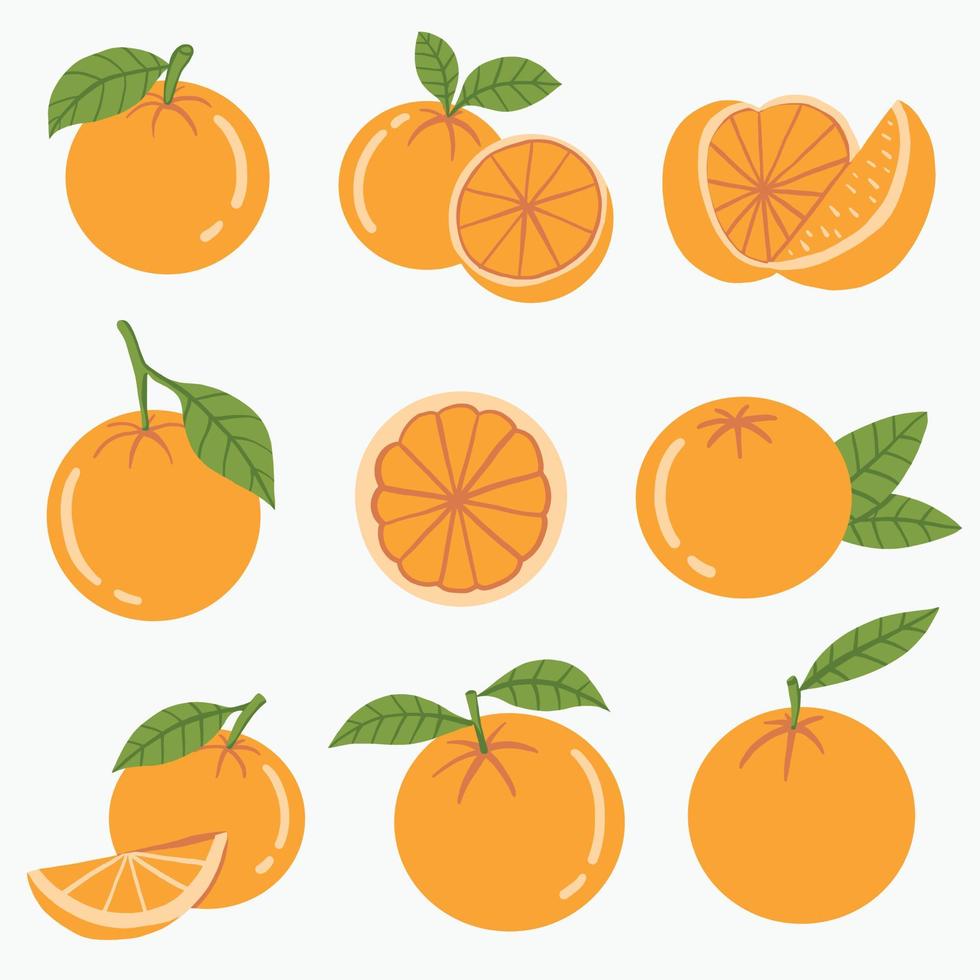 doodle uit de vrije hand schets tekening van oranje fruit. vector