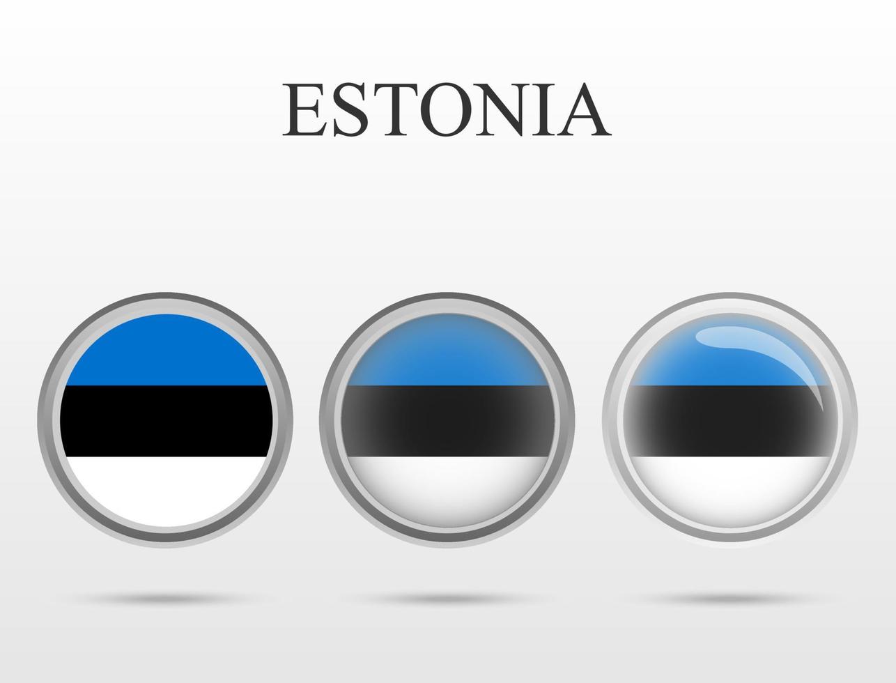 vlag van Estland in de vorm van een cirkel vector