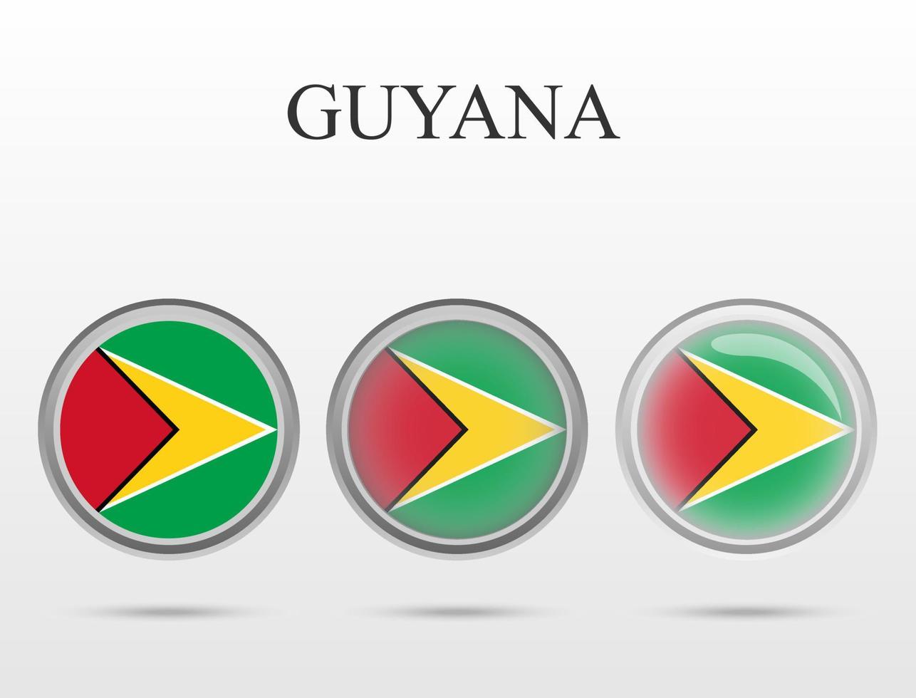 vlag van guyana in de vorm van een cirkel vector