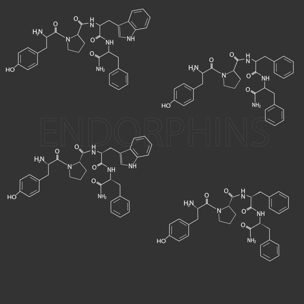 endorfine moleculair skelet- chemisch formule vector