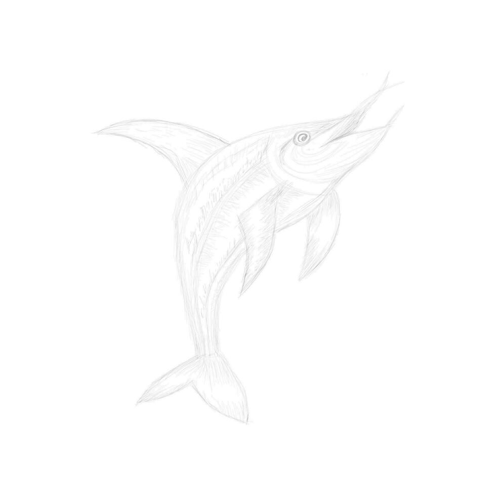 vrij blauw marlijn vis jumping schetsen vector ontwerp