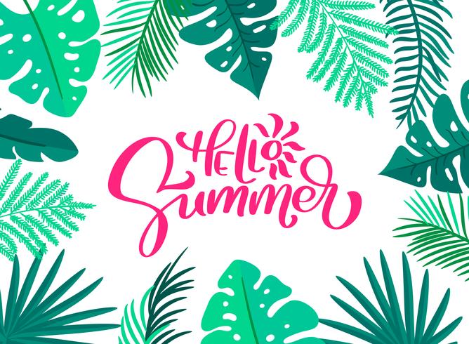 Tekst Hallo zomer in frame met bloemenbladeren. Hand getrokken belettering kalligrafie vectorillustratie. Leuke citaat hipster ontwerp logo wenskaart. Inspiratie typografie poster, banner vector