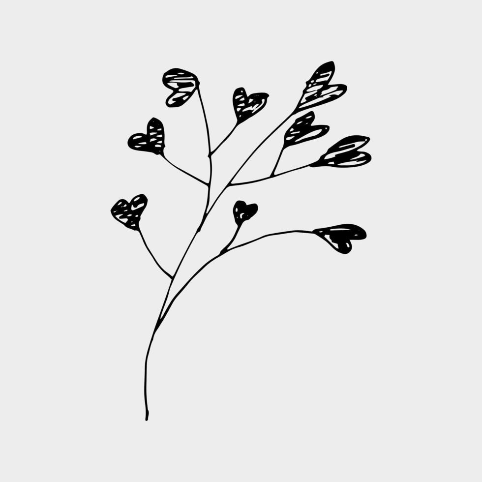 vector hand getrokken gypsophila zwarte inktkleur