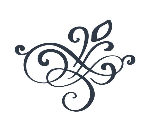 Bloei swirl sierlijke decoratie voor puntige pen inkt kalligrafie stijl. Ganzenveer floreert. Voor kalligrafie grafisch ontwerp, briefkaart, menu, huwelijksuitnodiging, romantische stijl vector