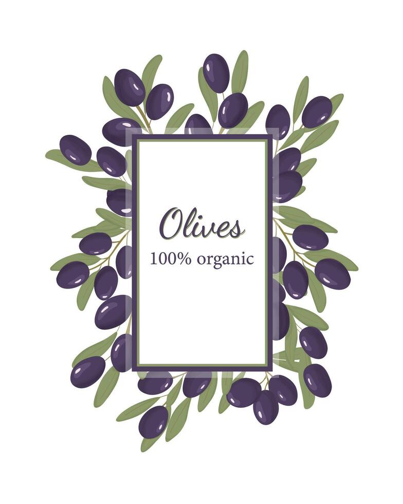 biologisch olijven label. Purper olijven set. fruit spandoek. kalamata olijven. sjabloon. vector