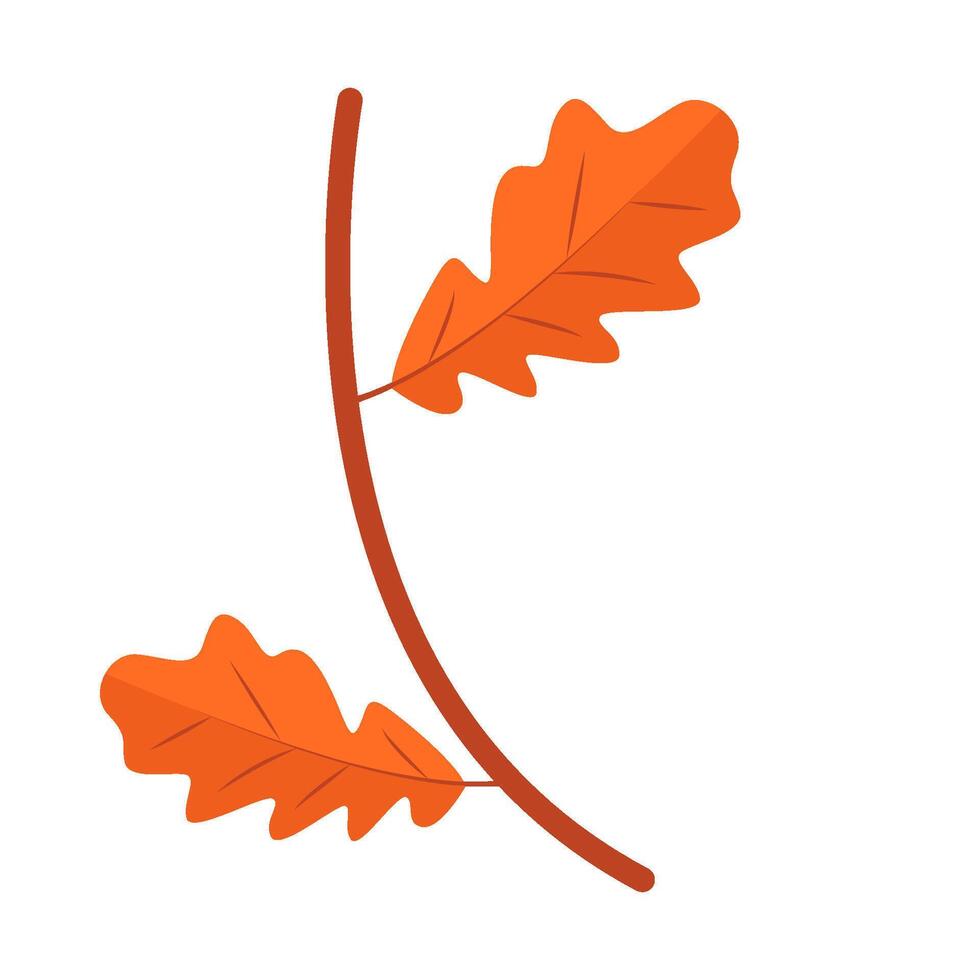 esdoorn- blad herfst illustratie vector