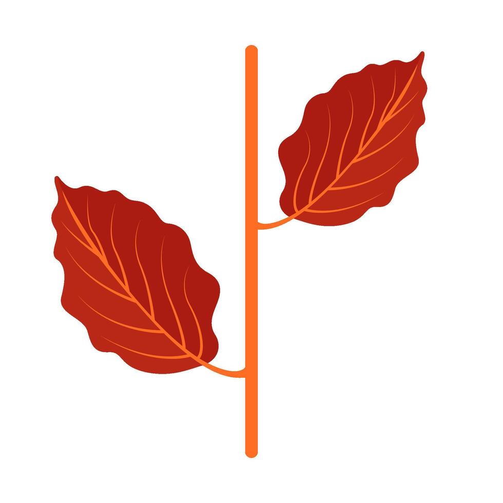 esdoorn- blad herfst illustratie vector