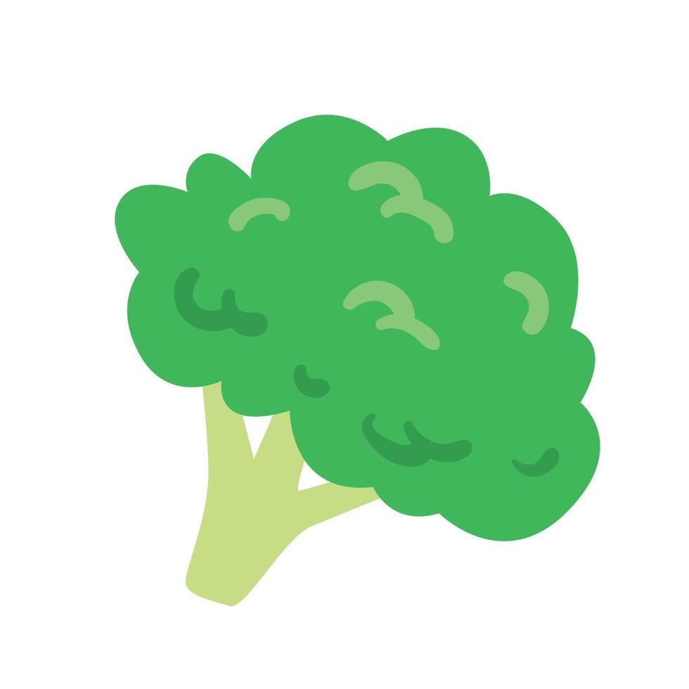 vector gezond groen broccoli grafisch illustratie